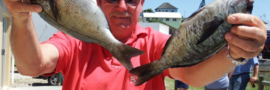 Met die swakkerige vangstes het â€˜n positiewe Bev Swart twee van sy Hottentotte in die rigting van die kamera gedruk sodat dit bietjie groter kon vertoon, maar hy het darem die 2de swaarste sak en 2de swaarste bootgemiddeld opgelewer